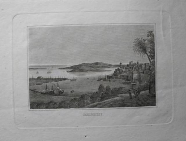 ANONIMO. Brindisi.