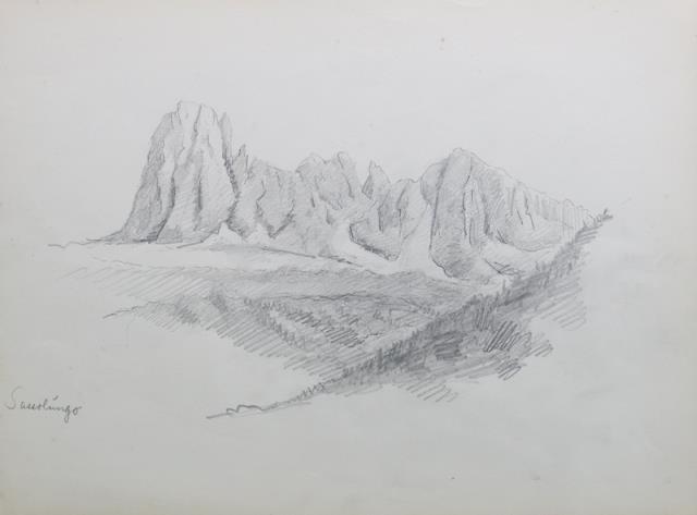 ANONIMO. Sassolungo.
