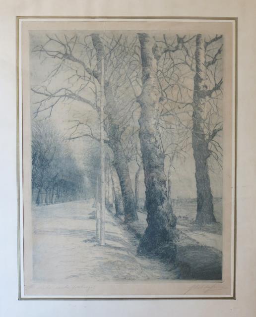 BALDASSINI, GUGLIELMO. Il Viale Reale (Monza).