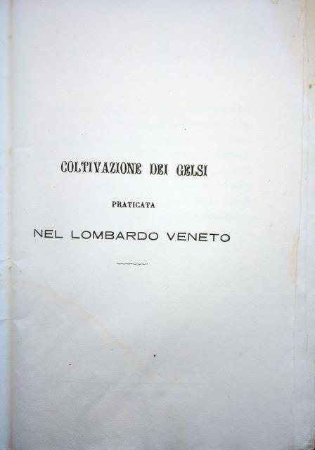 AA.VV. - COMIZIO AGRARIO. Coltivazione dei Gelsi praticata nel Lombardo Veneto.