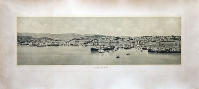 ALINARI. Trieste.